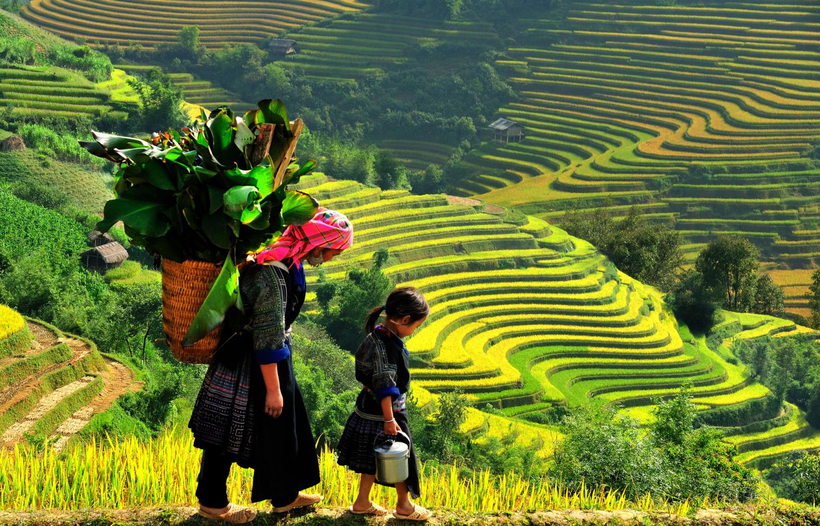 15 Days In-Depth Vietnam Tour with Sapa