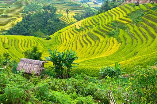 5 Days Hagiang Trekking Tours