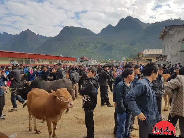 BikingTo Hilltribes Of Ha Giang Plateau – 7 days 1