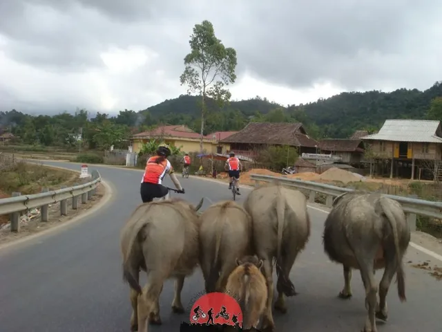 In-Depth Vietnam Tour with Sapa - 15 Days 3