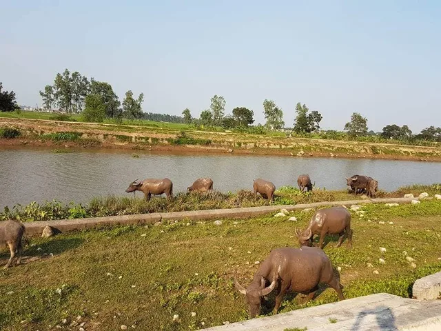 Mekong Experience Cycling Tour - 7 Days 1