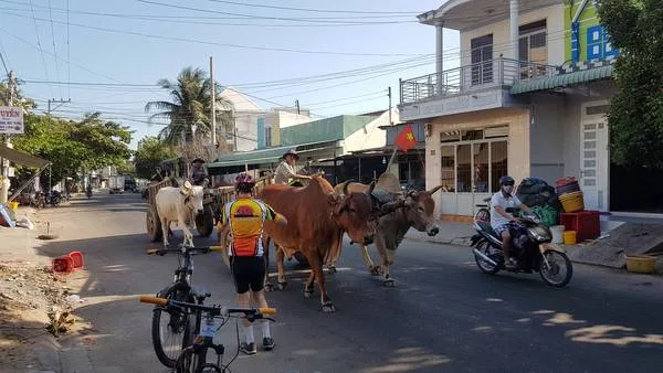 The Best Mekong Cycling Tours - 5 Days 1