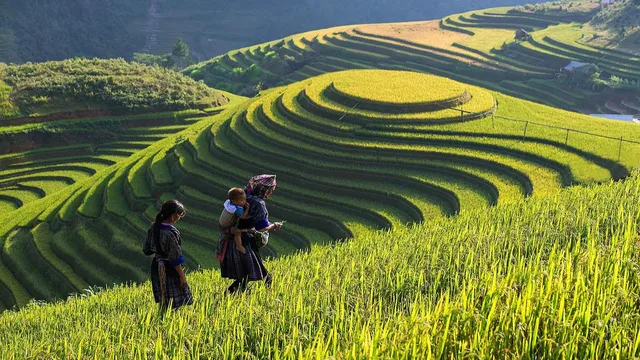 Vietnam Mountain To The Bay - 12 Days 2